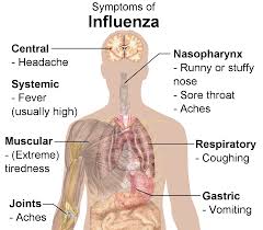 FLU SEASON AND THE IMPORTANCE OF FLU VACCINATIONS CVS