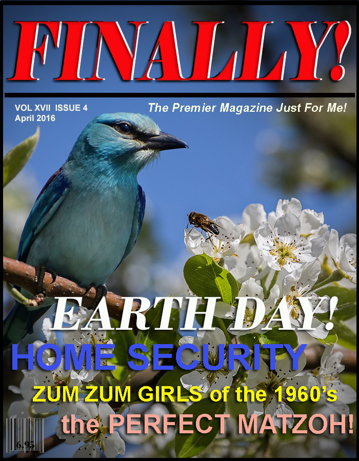 FINALLY! magazine Baby Boomer / Senior Citizens Magazin
